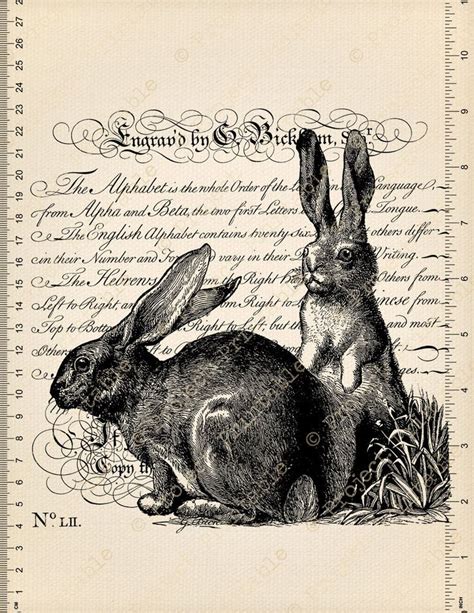 vintage rabbit prints|vintage hare free printables.